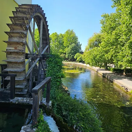 Famille Ταπόλκα